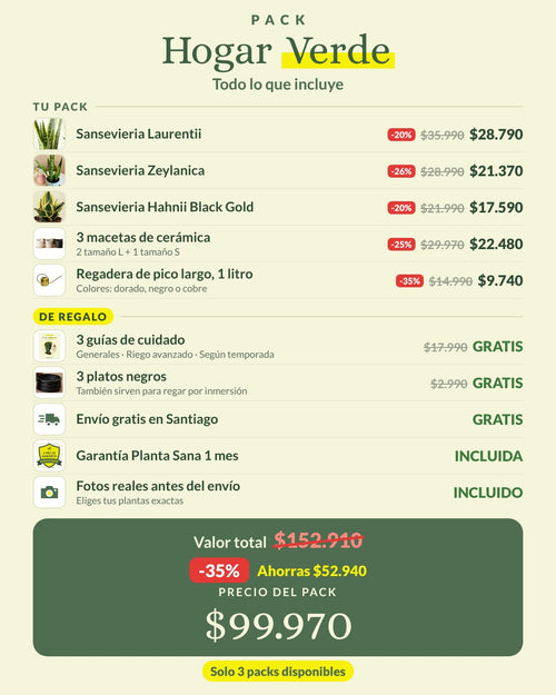 Todo lo que incluye el Pack Hogar Verde, con 35% de descuento