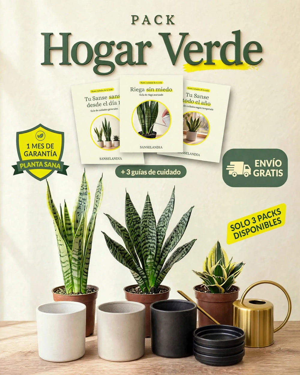 Pack Hogar Verde: 3 Sansevierias con macetas, regadera y guías de cuidado