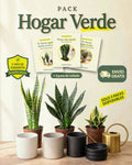 Pack Hogar Verde: 3 Sansevierias con macetas, regadera y guías de cuidado