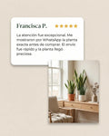 Testimonio de cliente Sanselandia