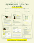 3 guías de cuidado de Sansevieria: cuidados generales, riego y cuidados según temporada