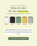 Colores de macetas de cerámica para el Pack Hogar Verde: blanco, negro, verde, amarillo y gris, según disponibilidad